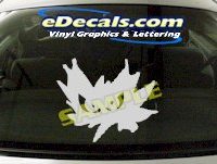  CRT670 Eyes cartoon Decal