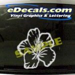 CRT702 Flower Cartoon Decal
