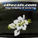 CRT703 Flower Cartoon Decal