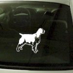 CRT742 English Springer Spaniel Dog Cartoon Decal