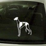 CRT747 Greyhound Dog Cartoon Decal