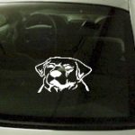 CRT752 Labrador Retriever Dog Cartoon Decal