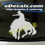 CRT800 Rodeo Western Horse Cowboy Cartoon Decal