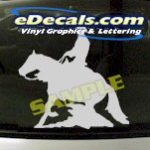 CRT806 Rodeo Western Horse Cowboy Cartoon Decal