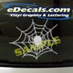 CRT831 Spider Web Cartoon Decal