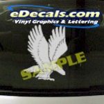 CRT835 Eagle Animal Cartoon Decal