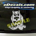 CRT838 Owl Animal Cartoon Decal