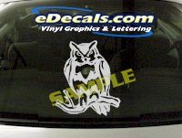  CRT838 Owl Animal Cartoon Decal