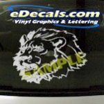 CRT841 Lion Head Animal Cartoon Decal