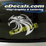 CRT845 Eagle Animal Cartoon Decal