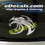 CRT865 Eagle Animal Cartoon Decal