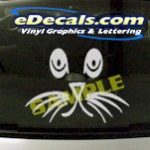 CRT876 Sad Cat Eyes Animal Cartoon Decal
