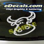 CRT895 Funny Cow Animal Cartoon Decal