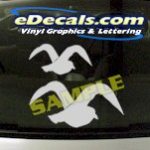 CRT929 Seagull Bird Animal Cartoon Decal