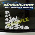 CRT956 Flower Cartoon Decal