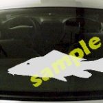 FSH107 Carp Fish Decal