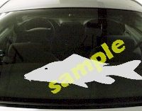  FSH107 Carp Fish Decal