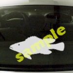 FSH122 Largemouth Bass Fish Decal