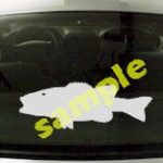 FSH123 Largemouth Bass Fish Decal