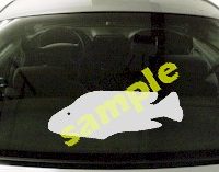  FSH136 Parrot Fish Decal