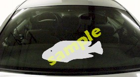 FSH136 Parrot Fish Decal