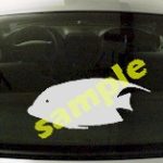 FSH138 Reef Fish Decal