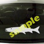 FSH144 Salmon Fish Decal