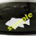 FSH153 Snapper Fish Decal