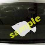 FSH154 Sole Fish Decal