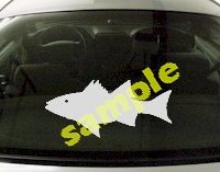  FSH157 Striper Fish Decal