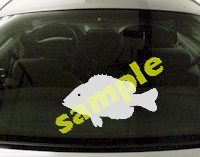  FSH159 Sunfish Fish Decal