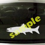 FSH164 Trout Fish Decal