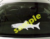  FSH164 Trout Fish Decal