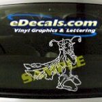 FTS108 Fantasy Woman Cartoon Decal