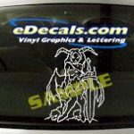 FTS121 Fairie Woman Fantasy Cartoon Decal