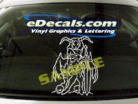  FTS121 Fairie Woman Fantasy Cartoon Decal