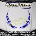 HDA163 Hood Accent Graphic Decal