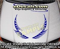HDA163 Hood Accent Graphic Decal