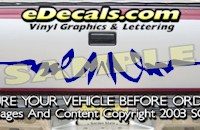 HDA524 Tribal Tailgate Accent Graphic Decal