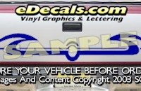 HDA528 Tribal Tailgate Accent Graphic Decal