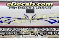 HDA547 Tribal Tailgate Accent Graphic Decal