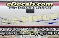 HDA580 Tribal Tailgate Accent Graphic Decal