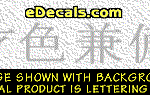 KAN100 Japanese Chinese Asian Kanji Beauty and Brains Decal