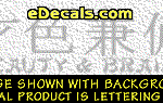 KAN101 Japanese Chinese Asian Kanji Beauty and Brains w/Wording Decal