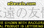 KAN102 Japanese Chinese Asian Kanji Eternal Friendship Decal