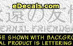 KAN103 Japanese Chinese Asian Kanji Eternal Friendship w/Wording Decal