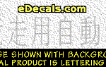 KAN110 Japanese Chinese Asian Kanji Race Car Decal