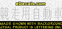  KAN110 Japanese Chinese Asian Kanji Race Car Decal