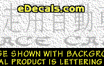 KAN111 Japanese Chinese Asian Kanji Race Car w/Wording Decal