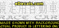  KAN111 Japanese Chinese Asian Kanji Race Car w/Wording Decal